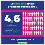 Infographie benoit hamon cannabis 4